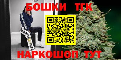 тгк Партизанск