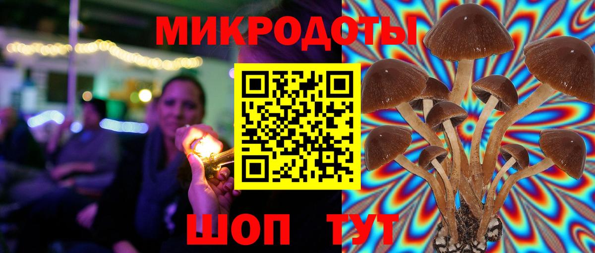 Псилоцибиновые грибы GOLDEN TEACHER Ступино